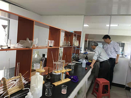 中環新材料專家組實驗室